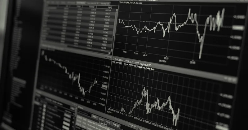 Analyse de marché : la base de tout